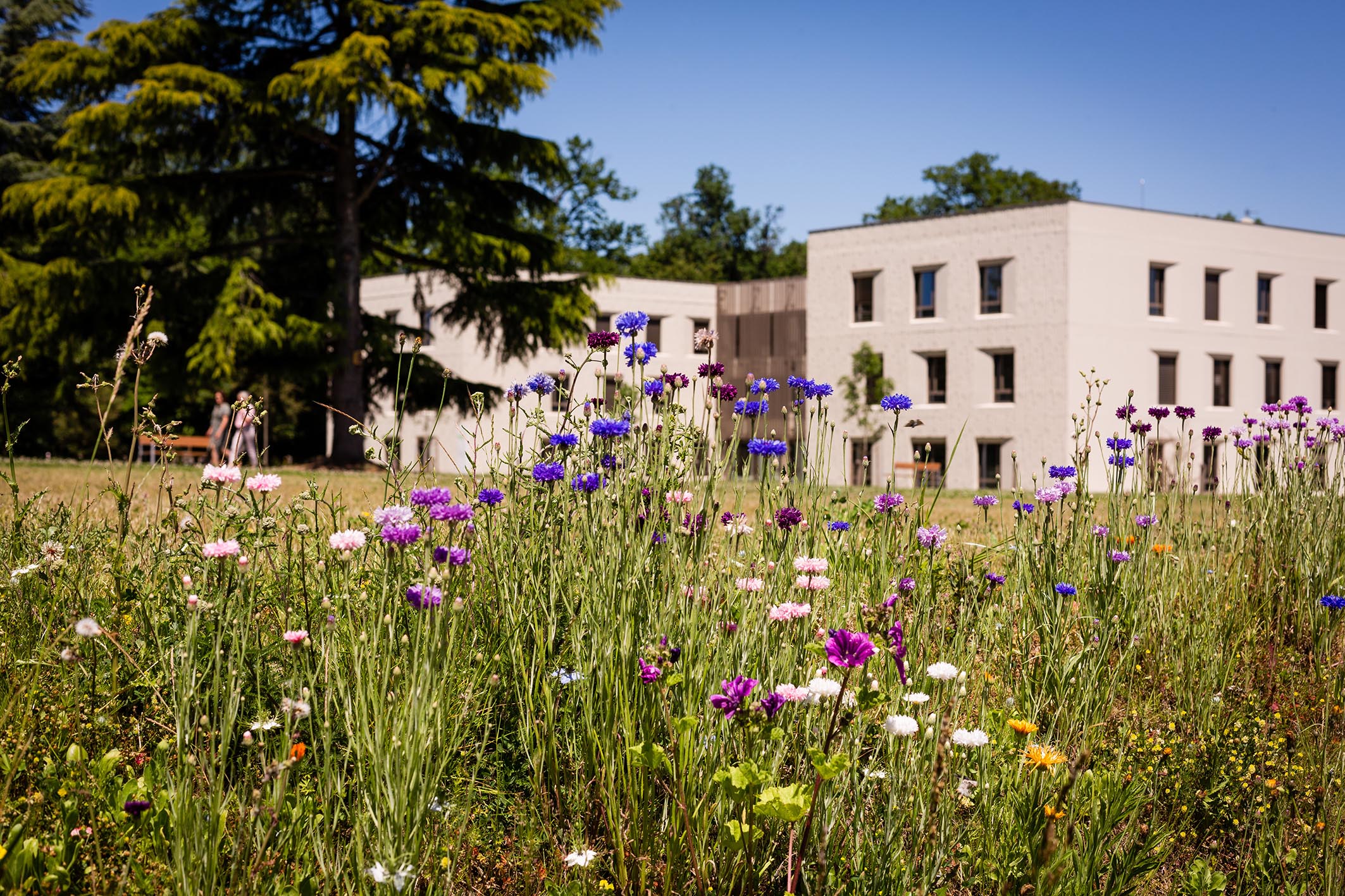 La Verrière, un fleuron en Ile-de-France