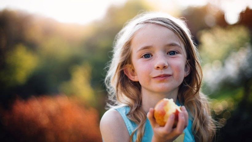 Dossier thématique Alimentation