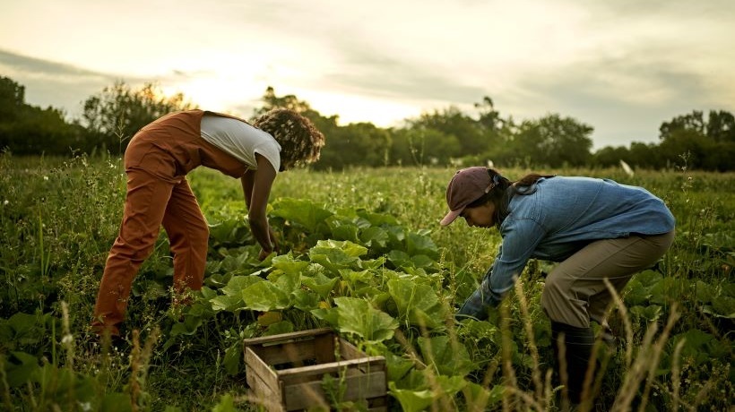 Lutter contre les TMS : retours sur des actions en milieu professionnel